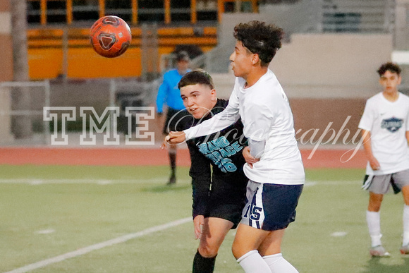 _MG_0695