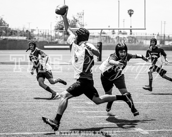 _MG_0719